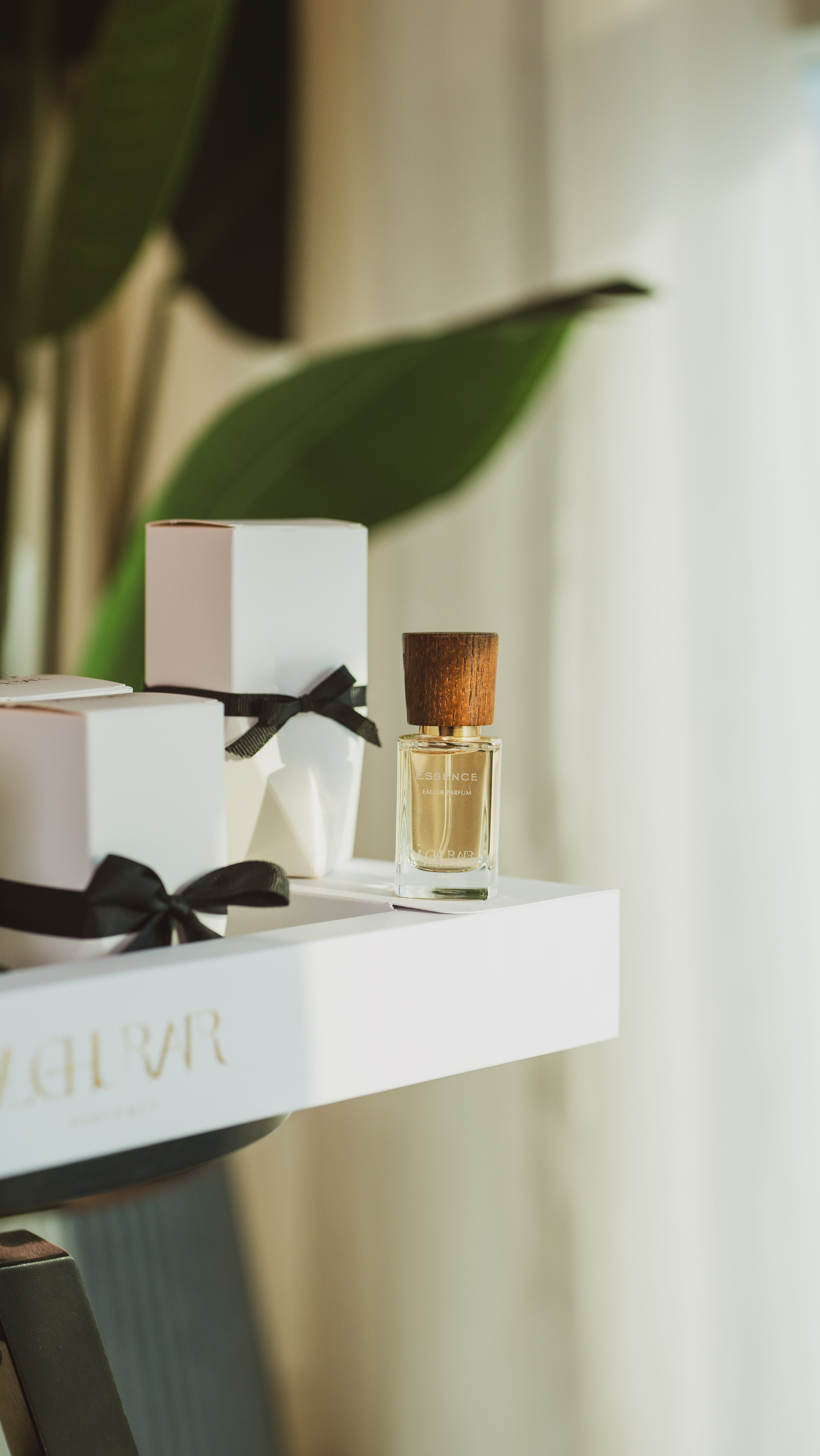 مجموعه التوزيعات عطور  الجاهزة