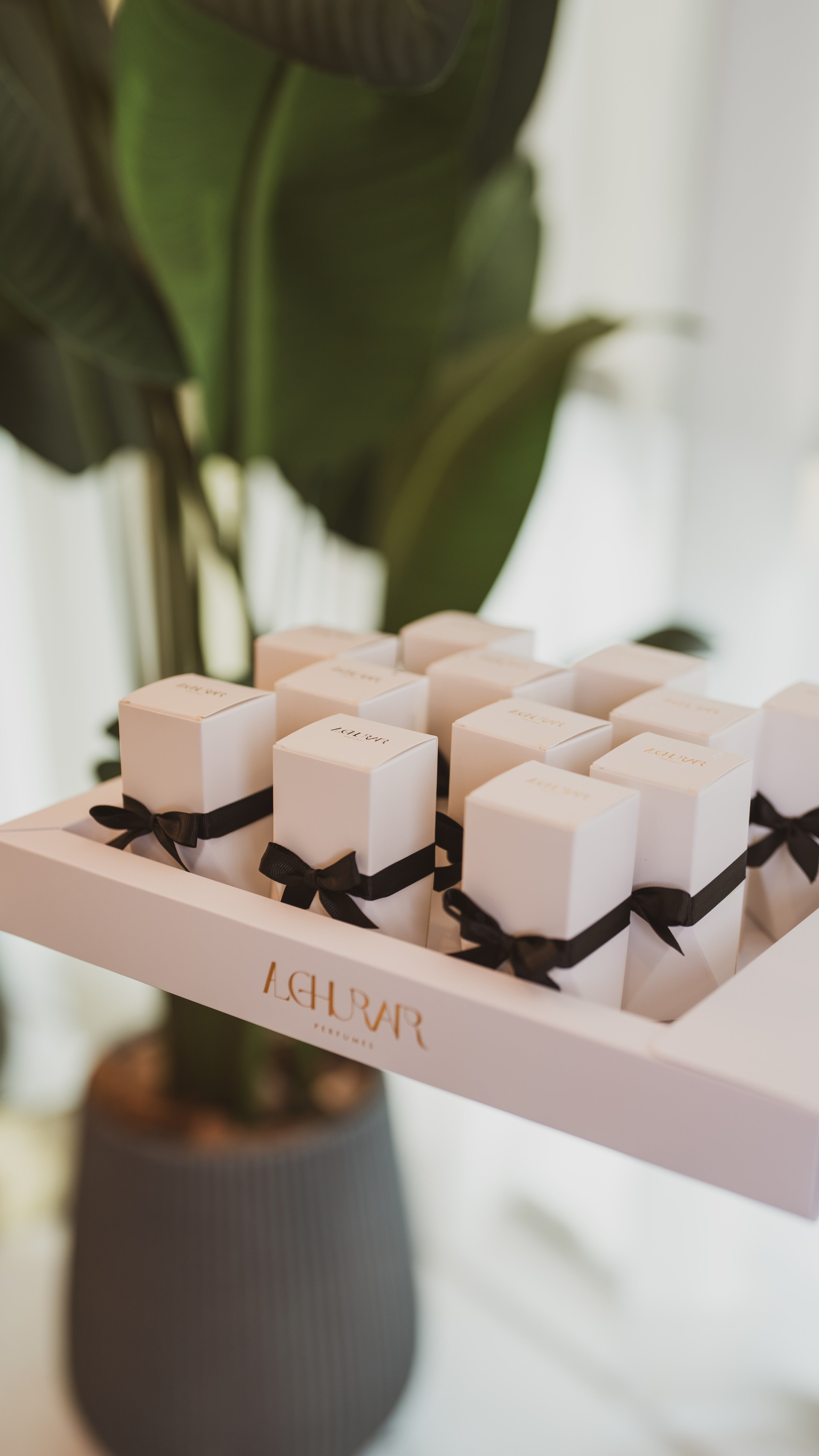 مجموعه التوزيعات عطور  الجاهزة